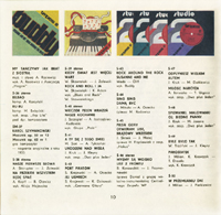 Katalog płyt gramofonowych single winylowe