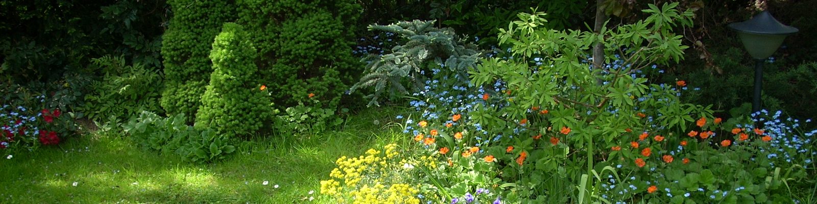 Alicja Majewska - ogród